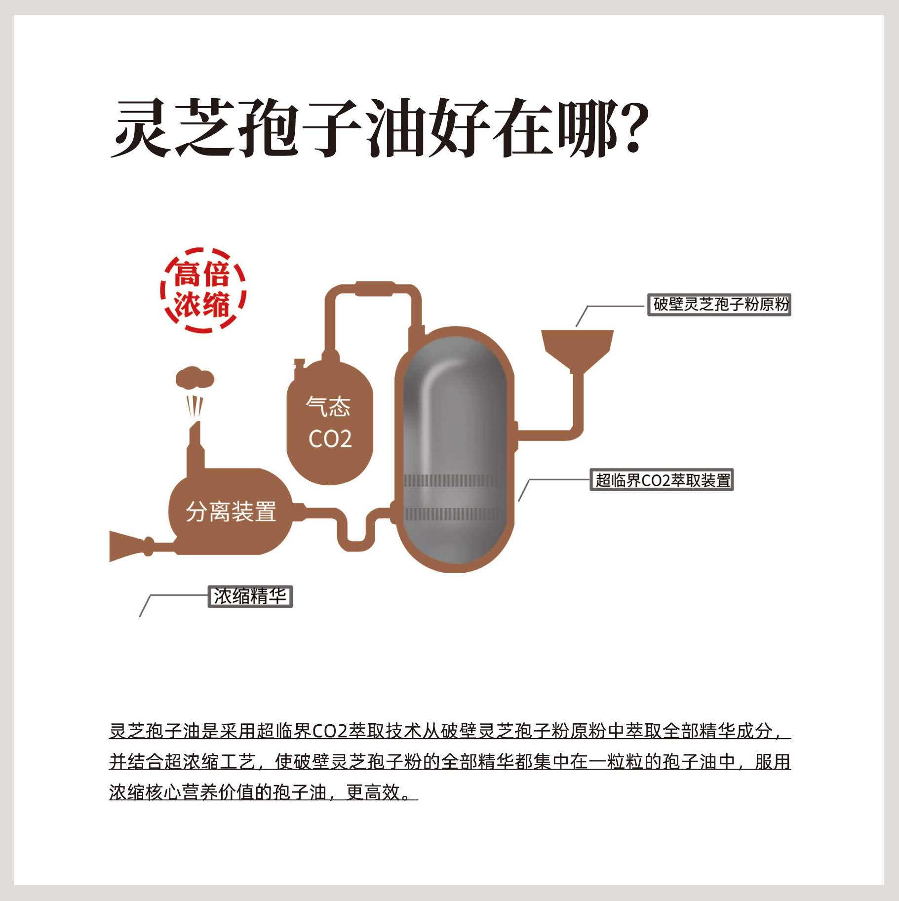 1624785539704672.jpg 000019.jpg