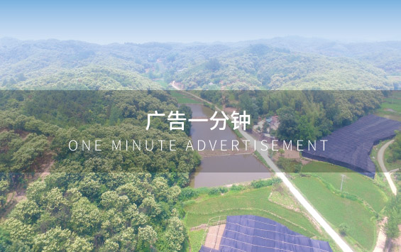 金寨灵芝 央视广告8月19日至8月25日持续播出，敬请关注